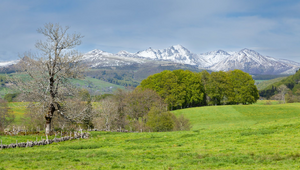 Réparation dégât des eaux Mont-de-Marsan